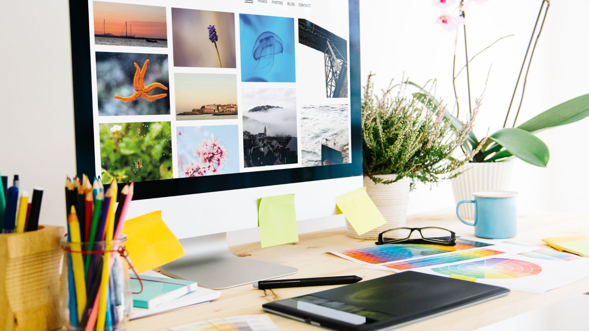 Unit 6: Character Design